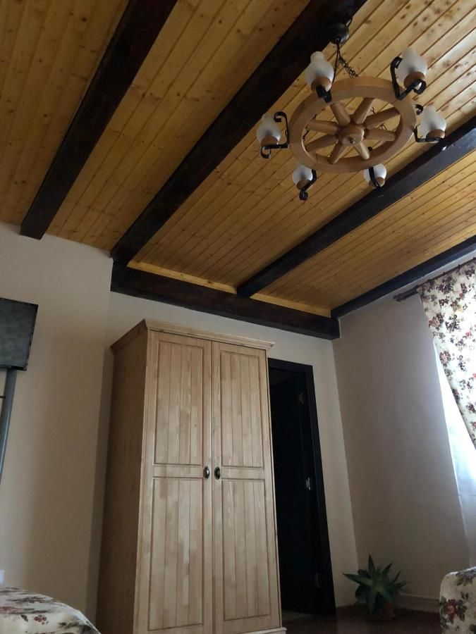 Гостевой дом Casa Albert Valea Avrigului Авриг-24