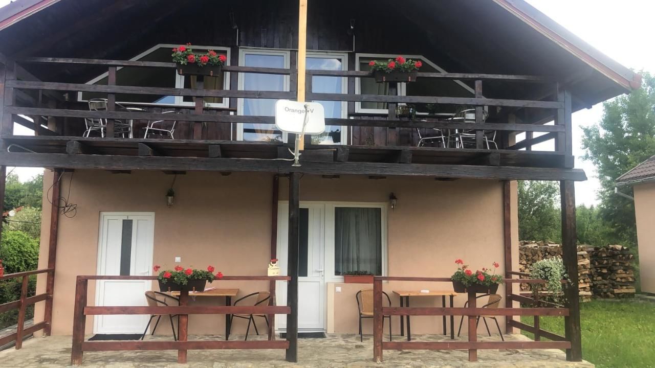 Гостевой дом Casa Albert Valea Avrigului Авриг